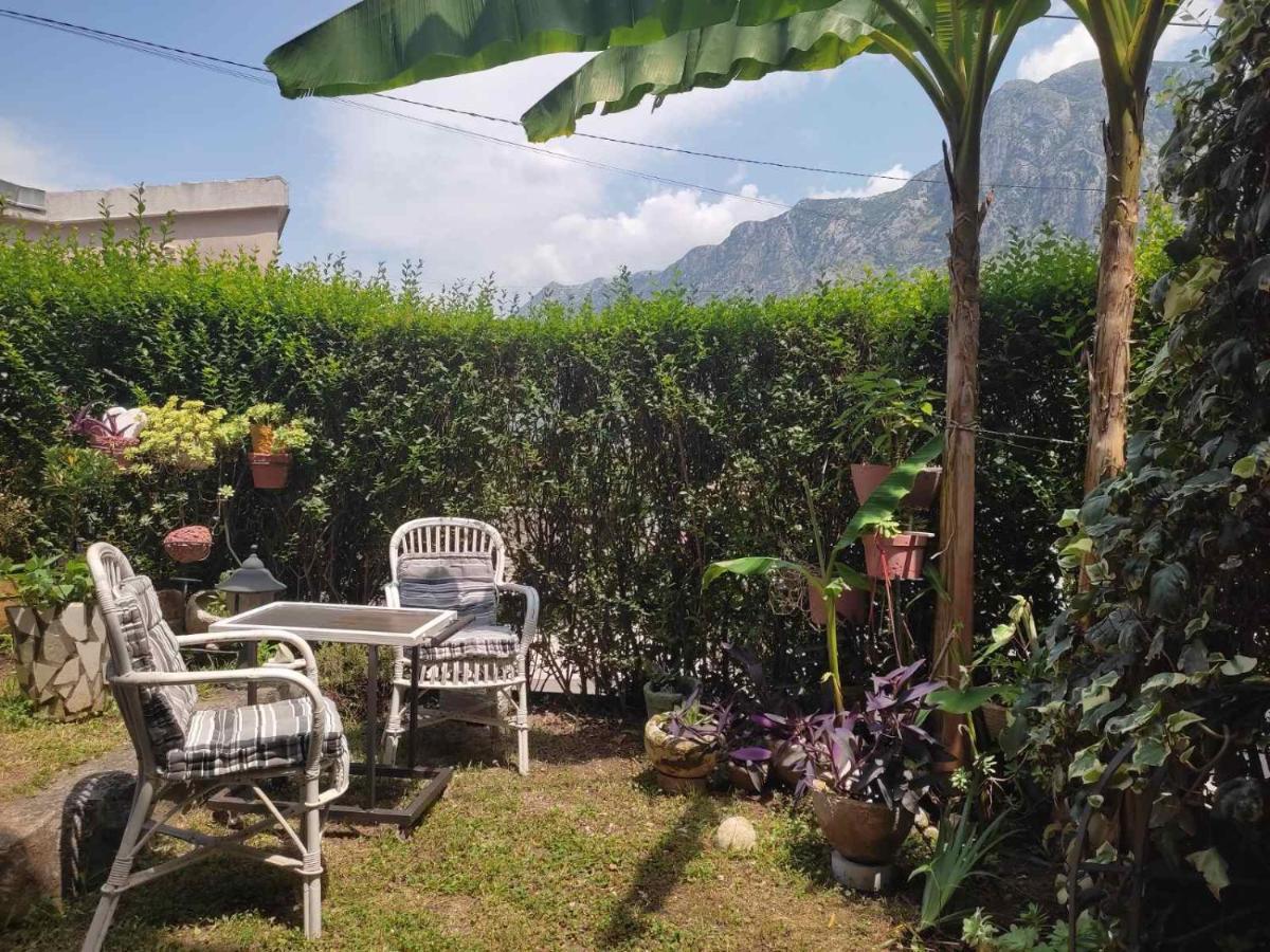 Apartman Art Kotor Exterior foto